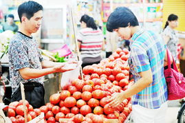 食用农产品批发价格分析 蔬菜价格止涨回落