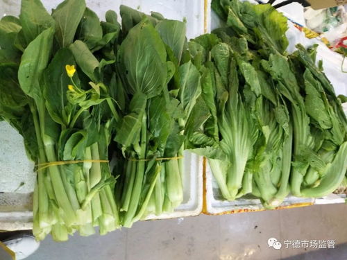 全城抽检粮油蛋菜肉，守护疫情期间食用农产品安全