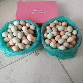 深耕源头，链接城乡 农产品批发供应商杜朝兵的惠农之路