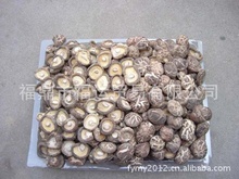 福鼎食用菌产业 阿里巴巴平台上的优质批发与供应枢纽