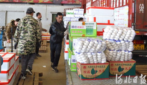 河北邢台 筑牢节日市场供应防线，守护食用农产品批发安全