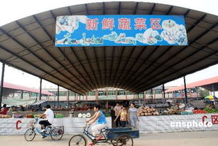 食用农产品价格迎两月来首次回落 市场供应趋稳信号显现