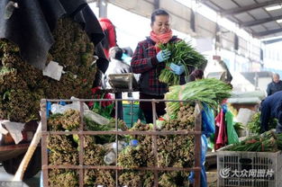 济南凭双证才能卖韭菜 出问题直接找源头，食用农产品批发市场严把安全关